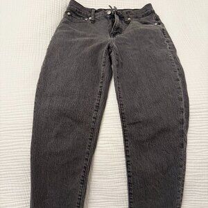 Madewell Petite Perfect Vintage Jean - Lunar Wash - 25P